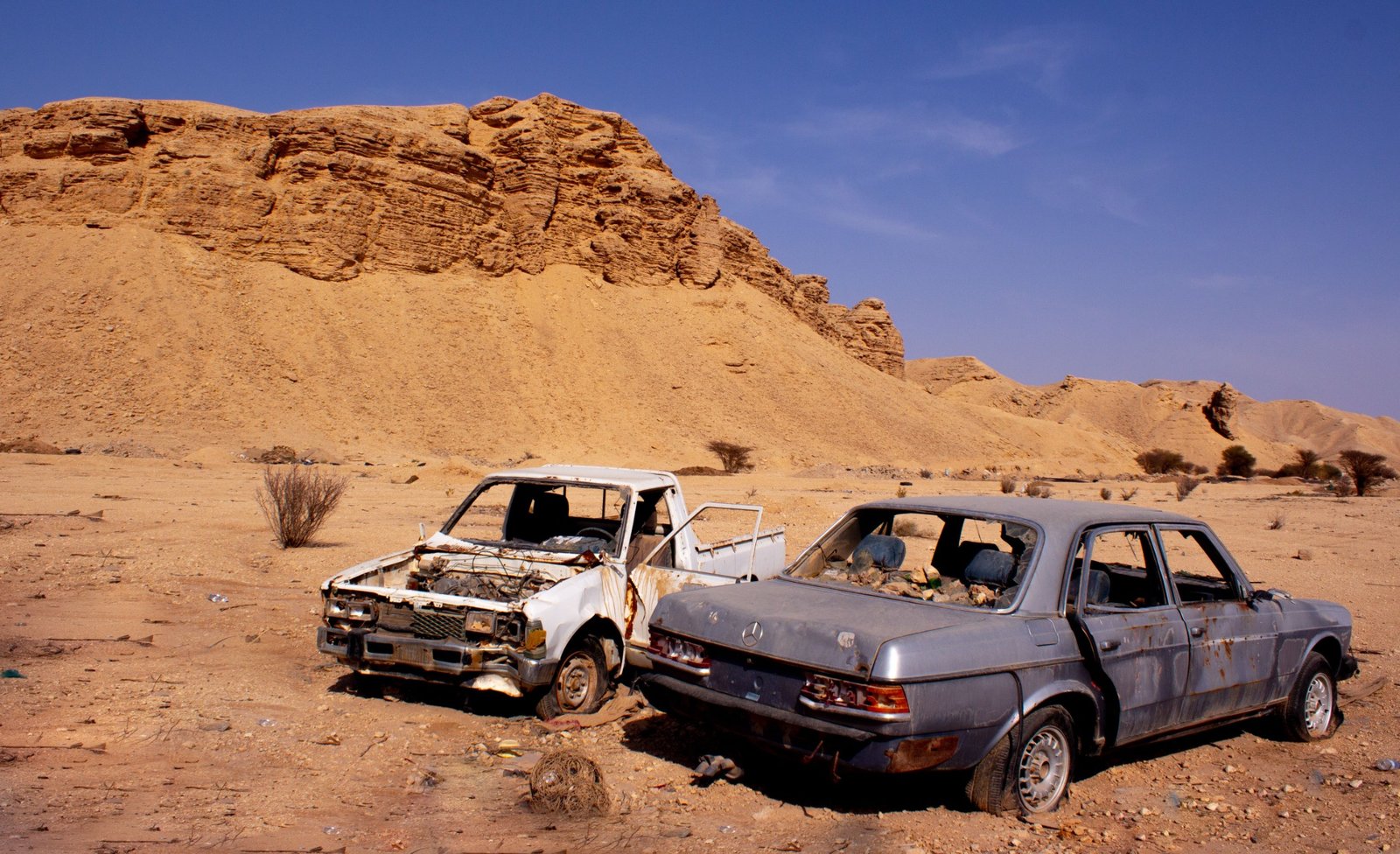 Desert Recovery